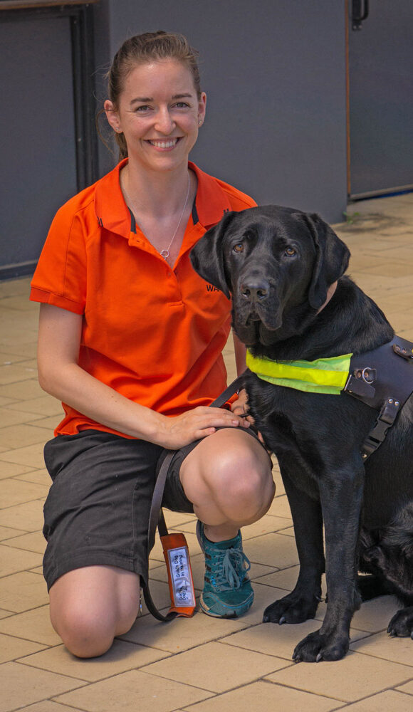 Image of Guide Dog Cadet Jen with a Guide Dog in training.
